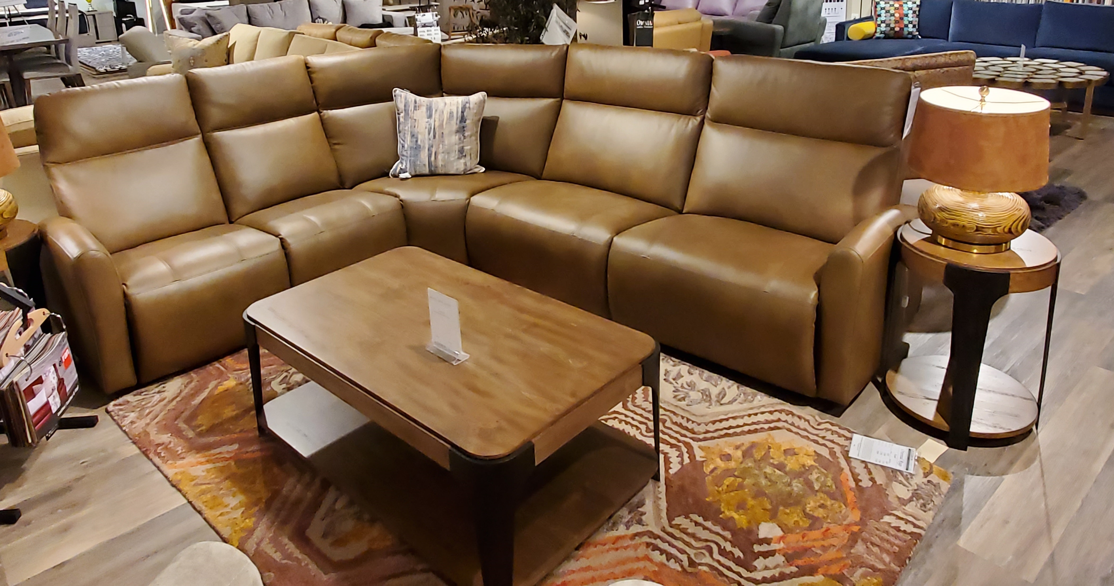 ElRan Furniture Art of Options 7000 Reclining Sectional Sofas ETC