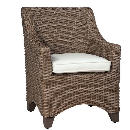Dining Arm Chair S592511