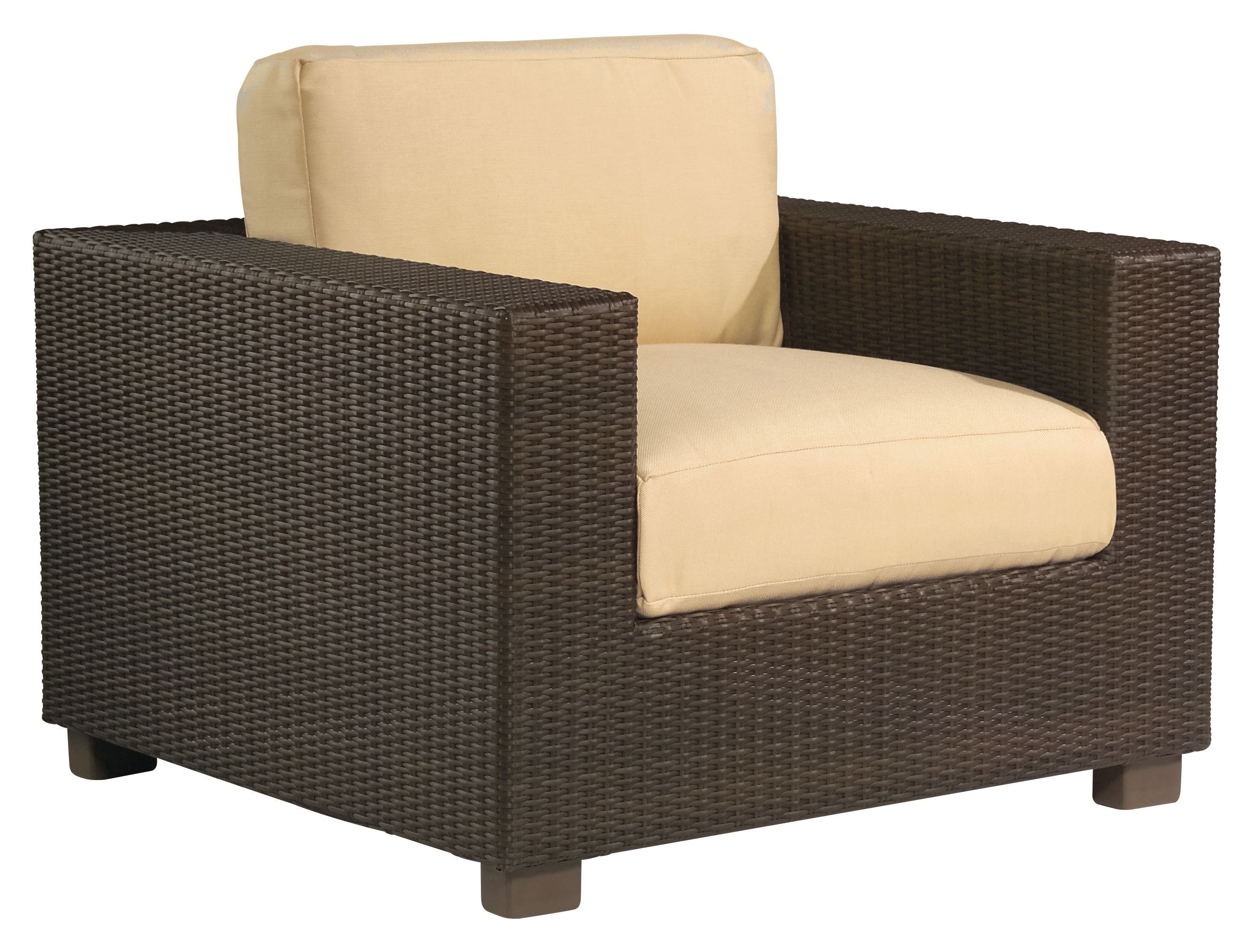 Lounge Chair S511001