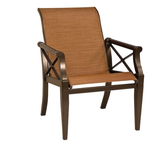 Sling Dining Arm Chair 3Q0401
