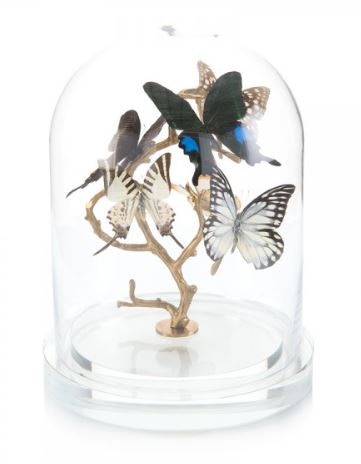 Showroom Specials Living Room Med Butterfly Cloche 31994 ...