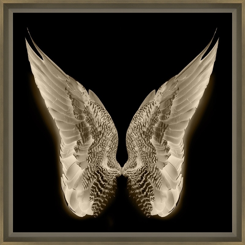 Radiating Wings