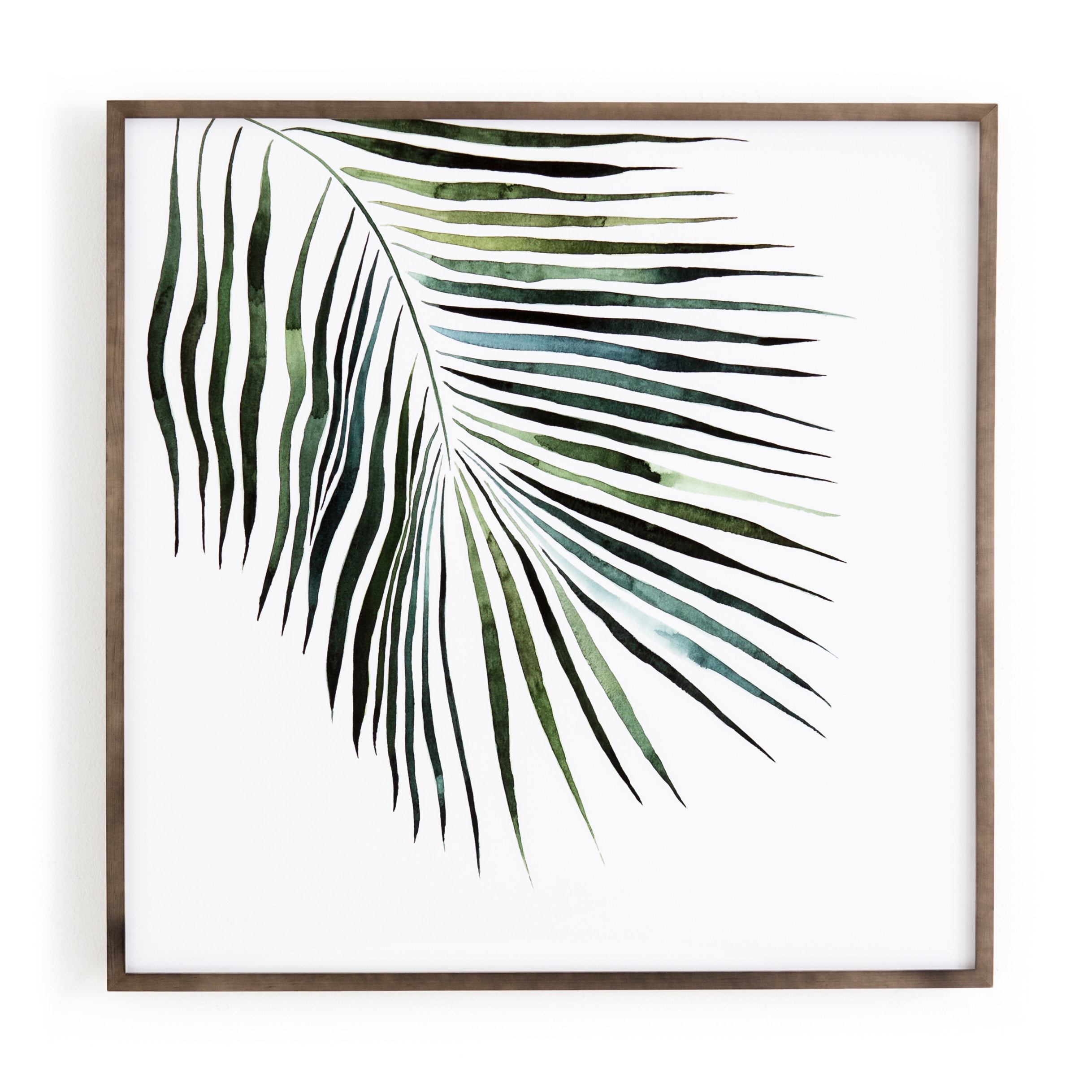  Palm By Jess Engle 
