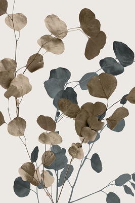  EUCALYPTUS SWAY II 