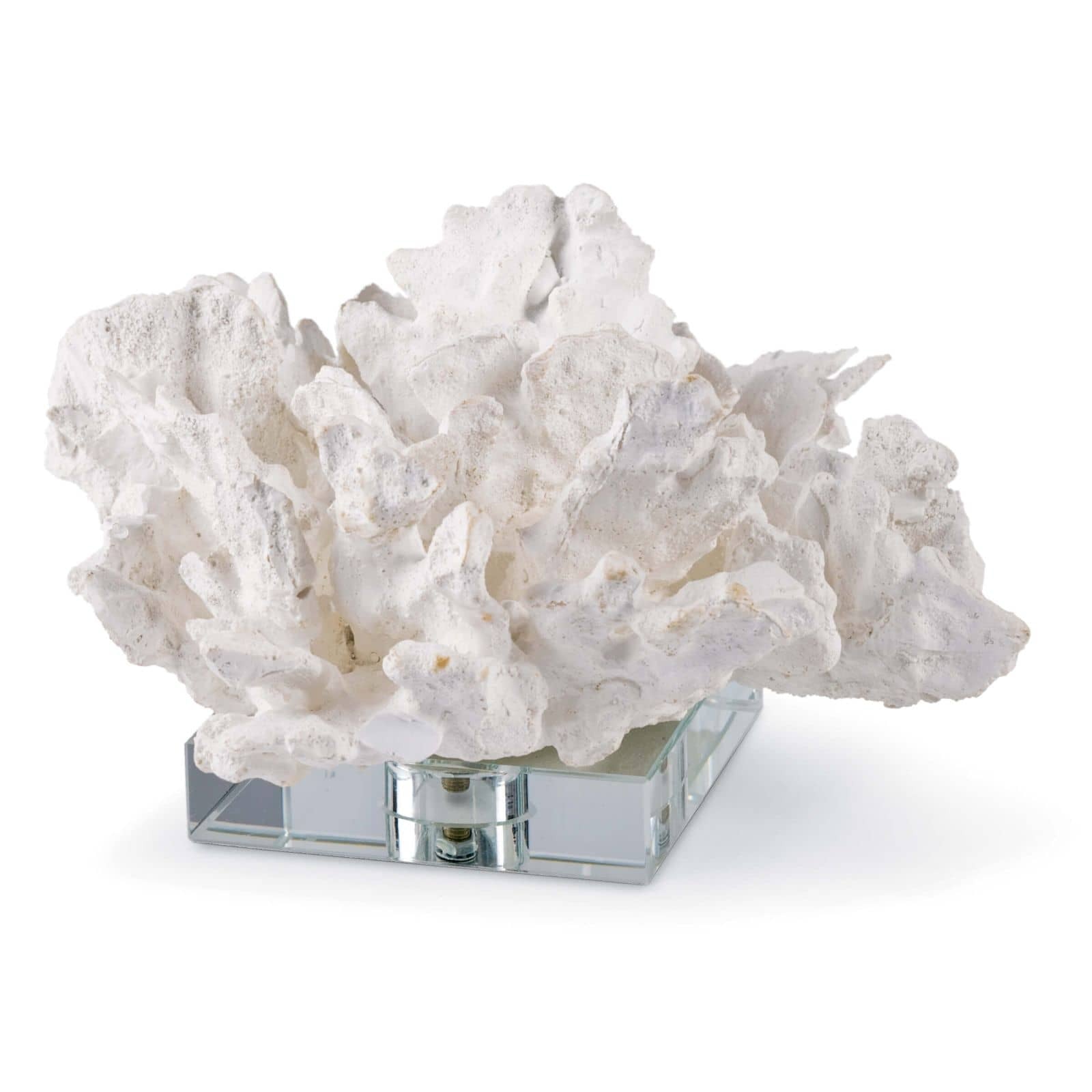  Flower Coral On Crystal Base (White) 