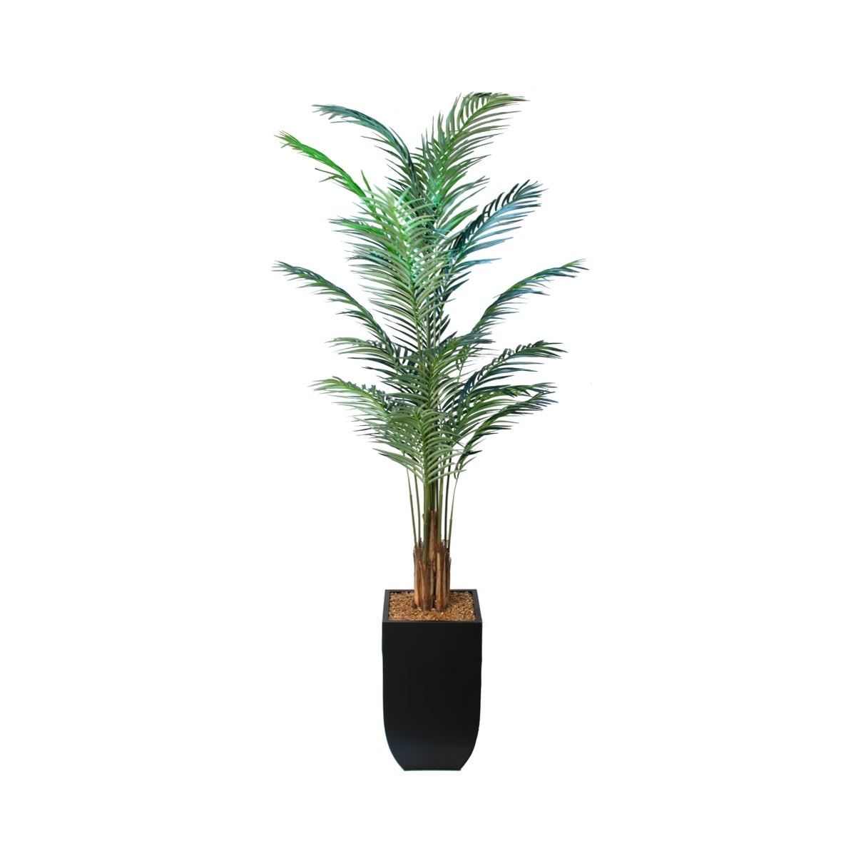 8FT GIANT ARECA PALM WITH CONTAINER