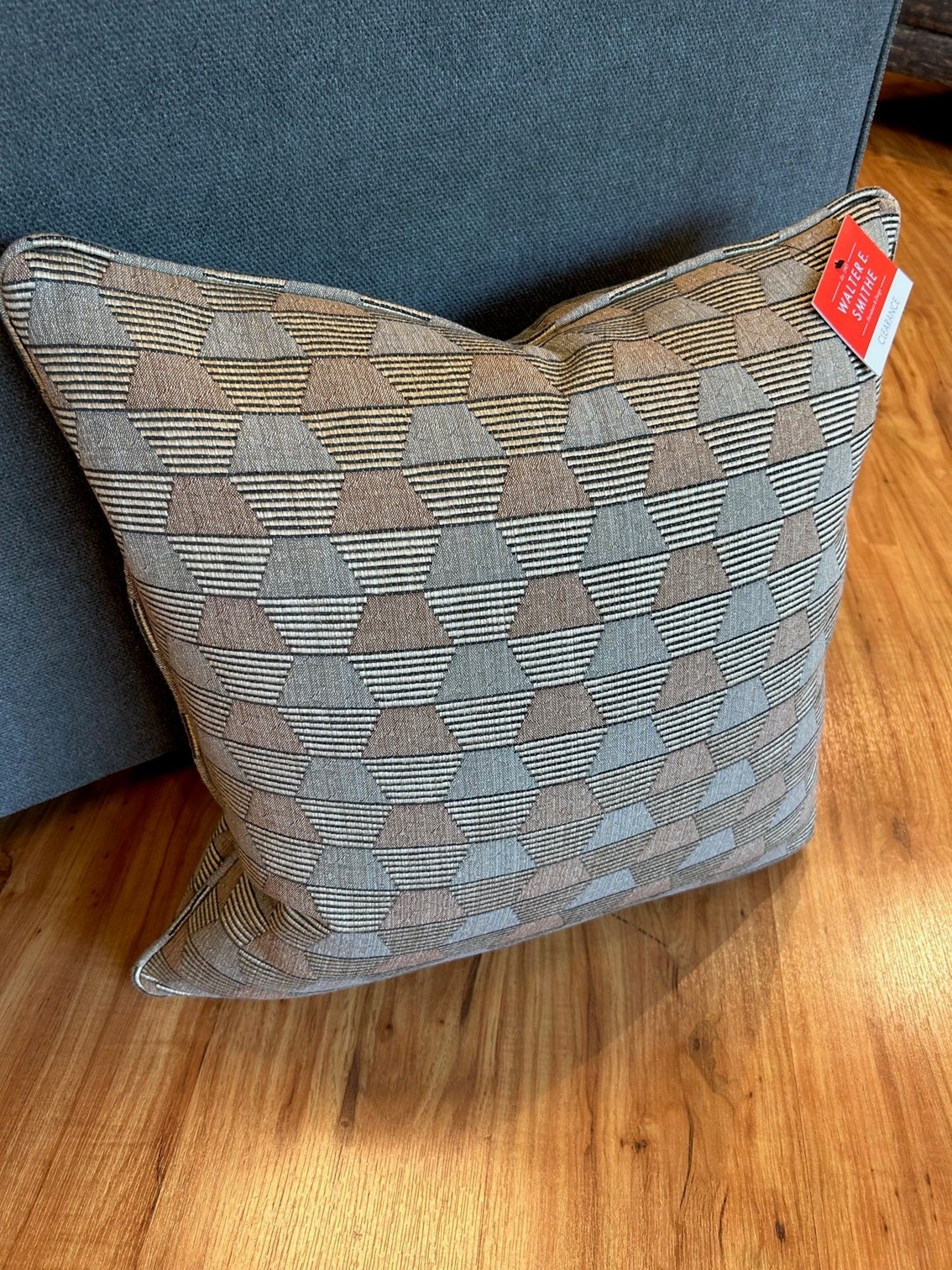  Throw Pillow 22x22 