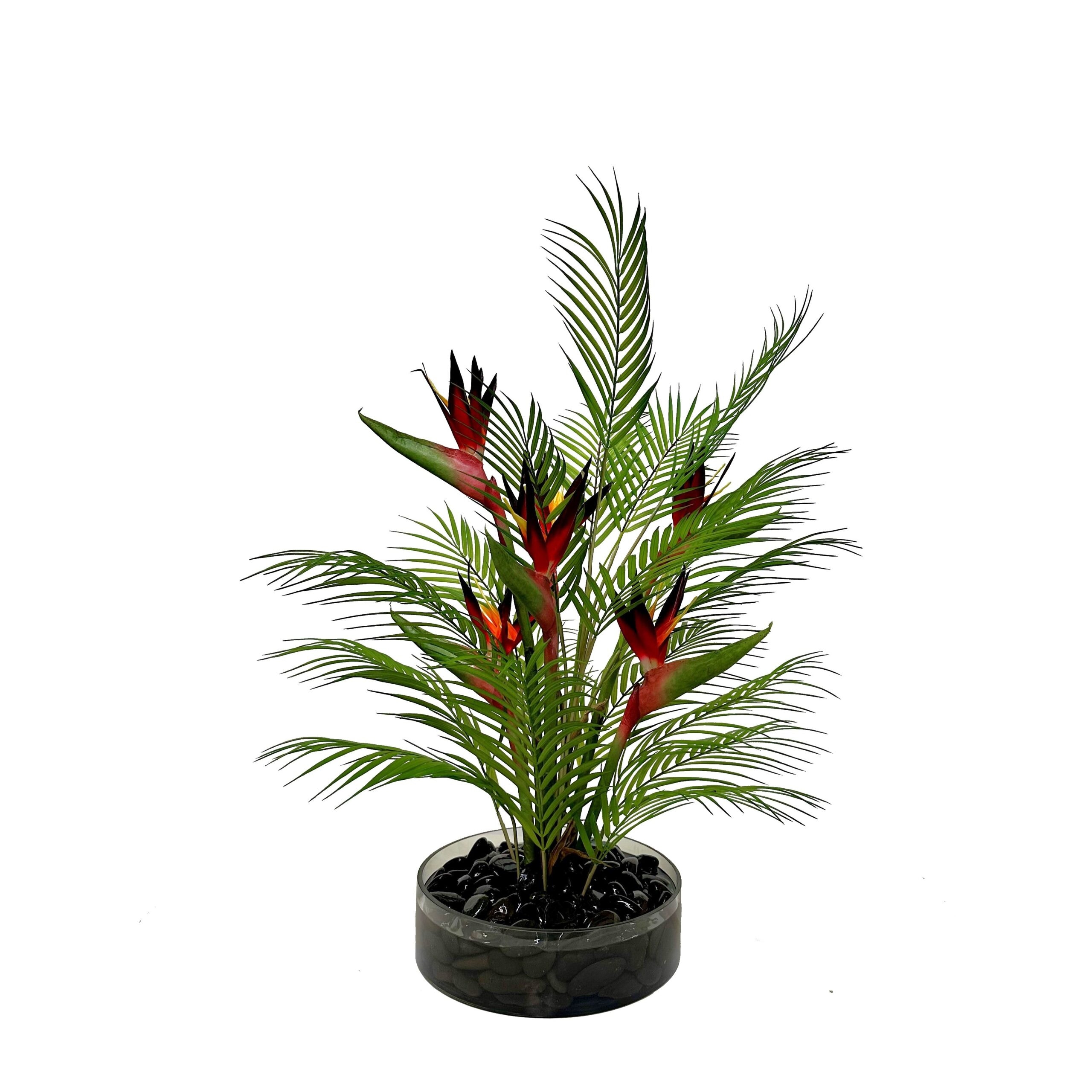  Bird of Paradise and Areca Palm in Medium Low Glass Bowl 
