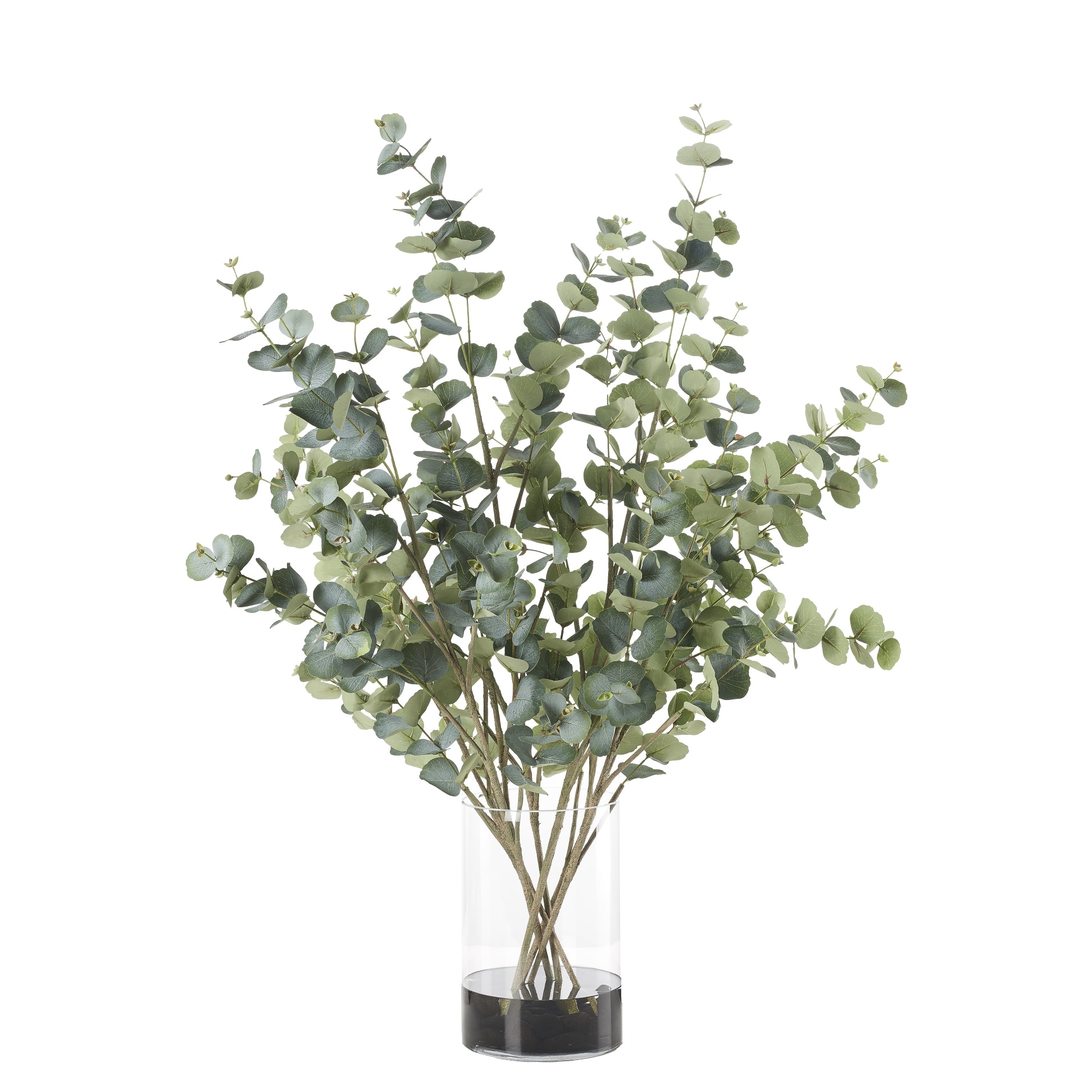  Eucalyptus in Large Glass Vase 