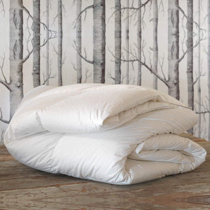  CELESTA LUXE DOWN COMFORTER LIGHT FU - FULL 