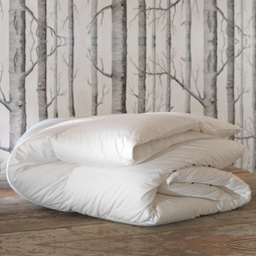  2 Piece Full Duvet Set 