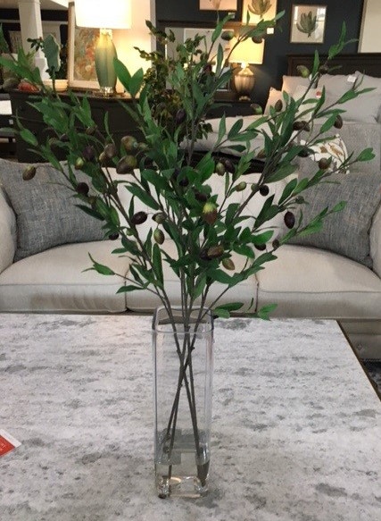  Olive Branch / Glass 