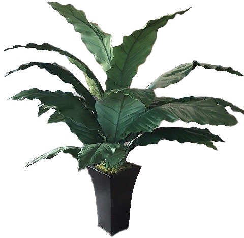  Large Spath Tin Planter 
