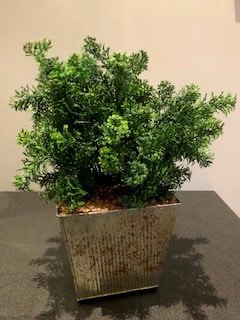  Lace Fern Bush Metal Pot 