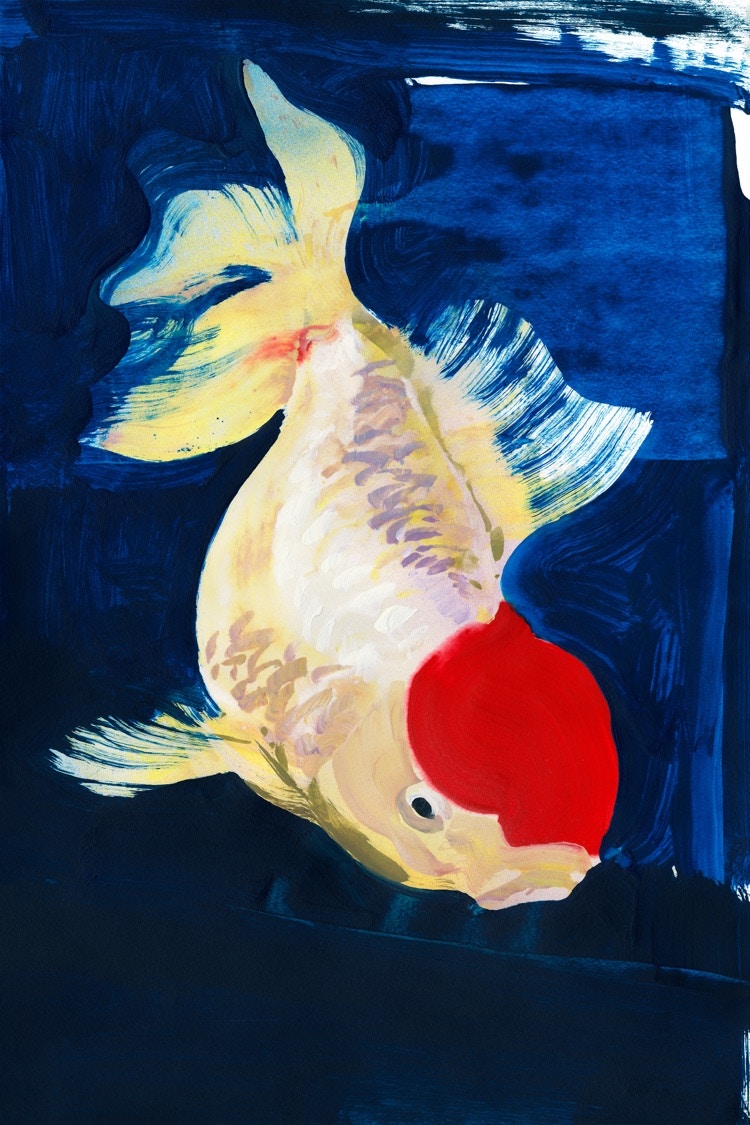  Ngo, PC, Life Aquatic 7 