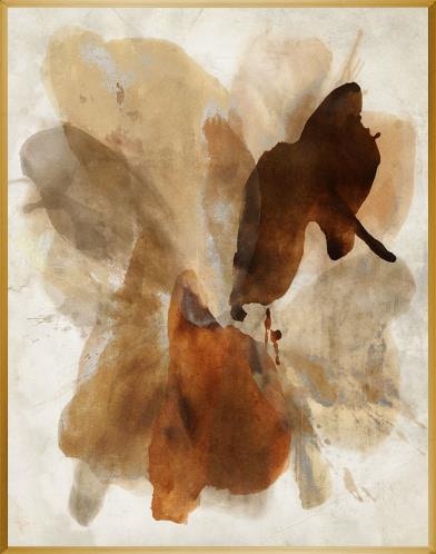  "Halcyon" 