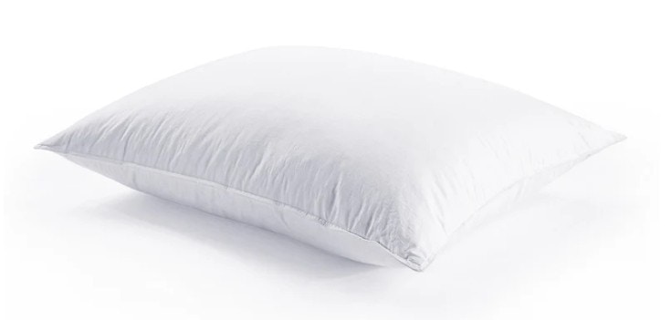  Down Pillow Sham Insert, 21 x 