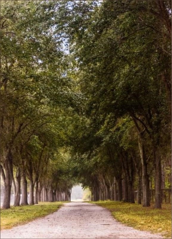  36 x 50 Going Home, MT-Matte, Giclee 