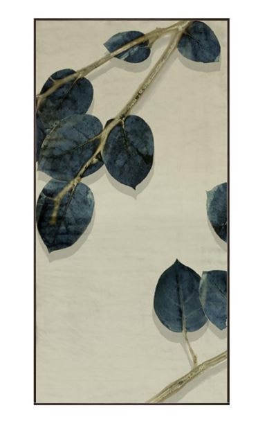 Physical media collection of over 1,100 blurays, image size:1024x768