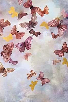  In Flight V 
