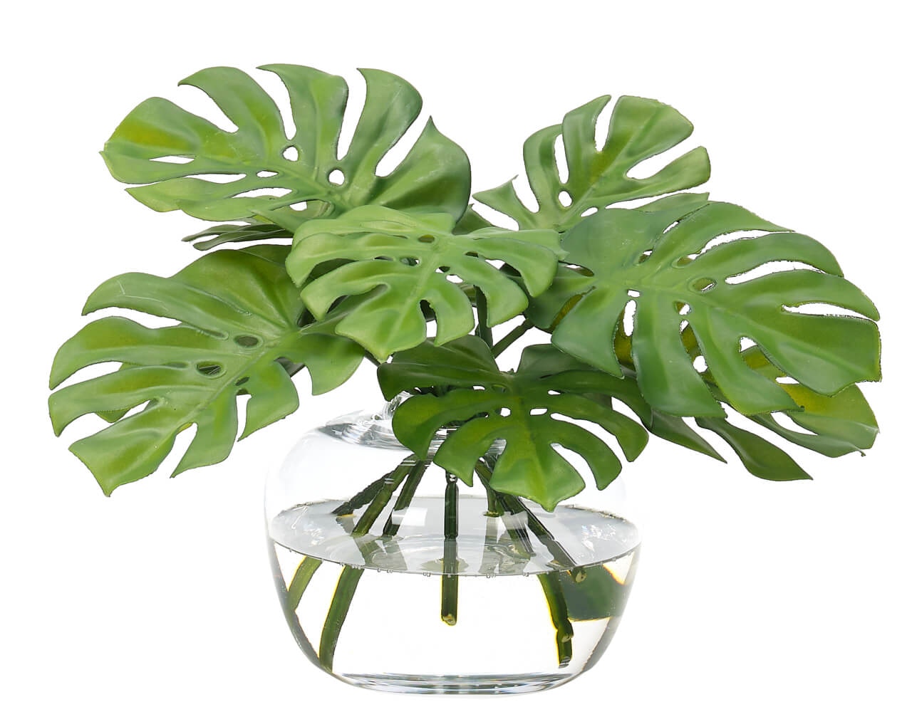  Monstera Leaf, Faux Watergarden, 9 