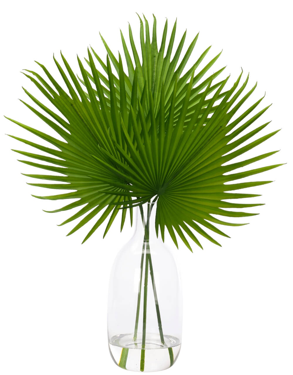  Palm Fan, Faux Watergarden, 31 