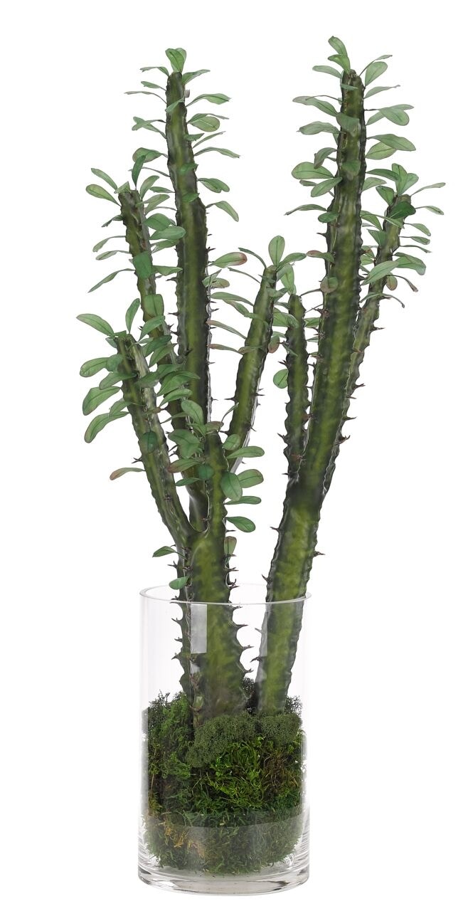  Succulent Cactus Plant, Faux Moss Garden, 28? 