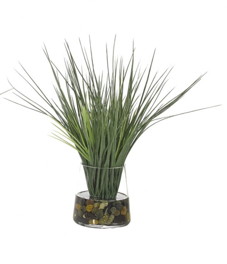  GRASS IN GLASS PYRAMID 