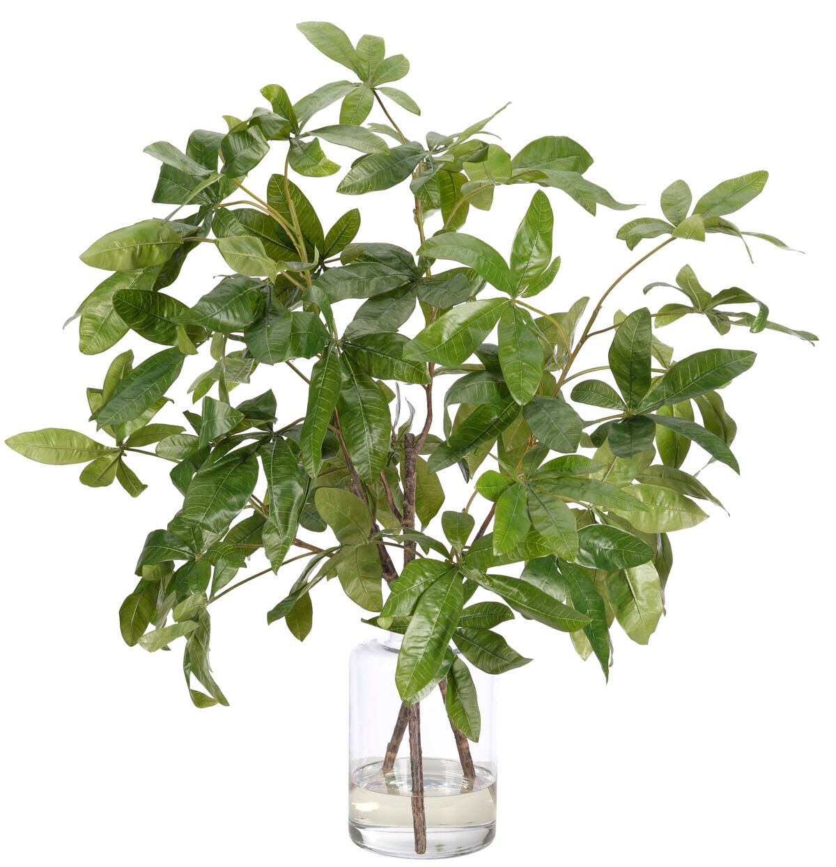  Money Tree Branch, Faux Watergarden, 38? 