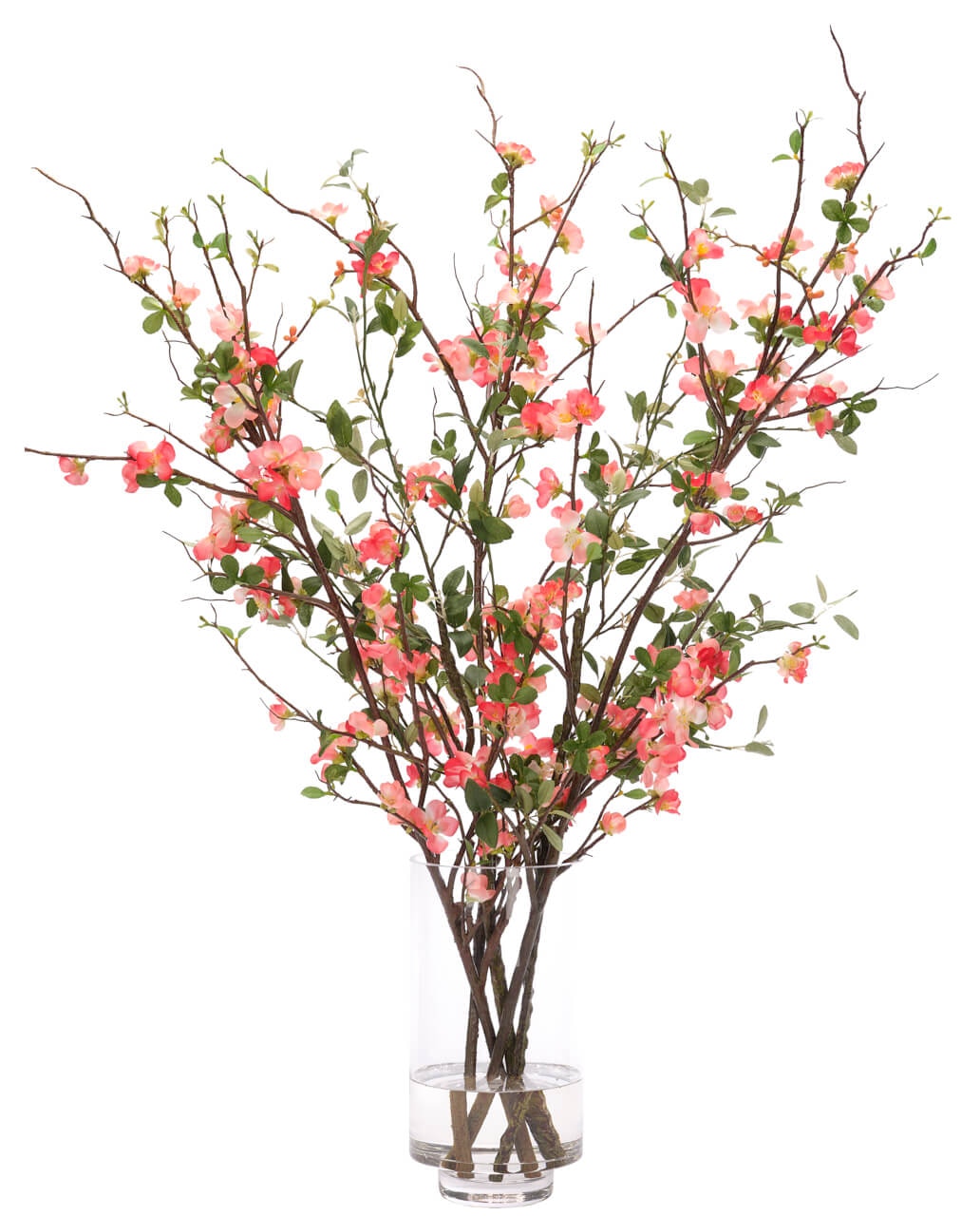  Quince Blossom, Faux Watergarden, 38? 