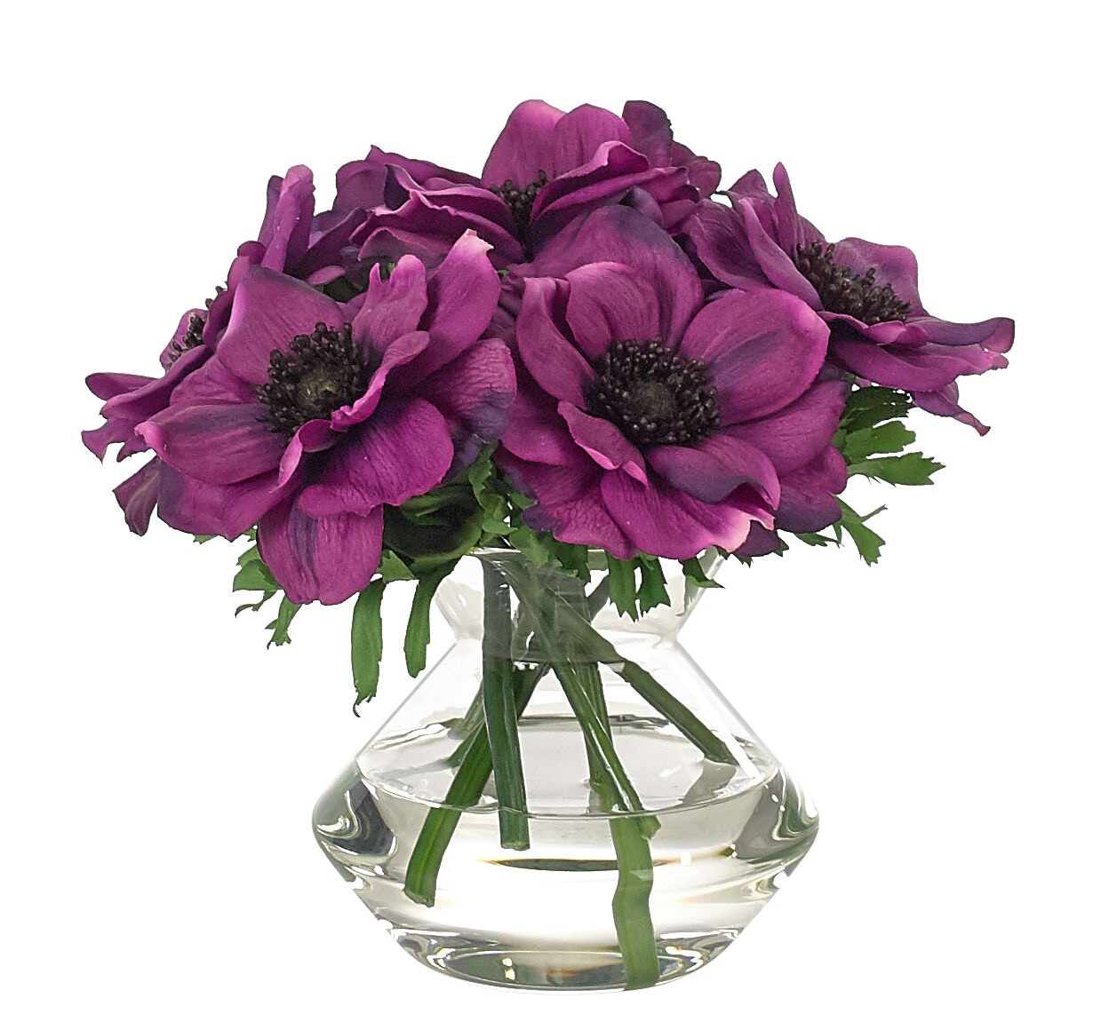  Anemone, Faux Watergarden, 8? 