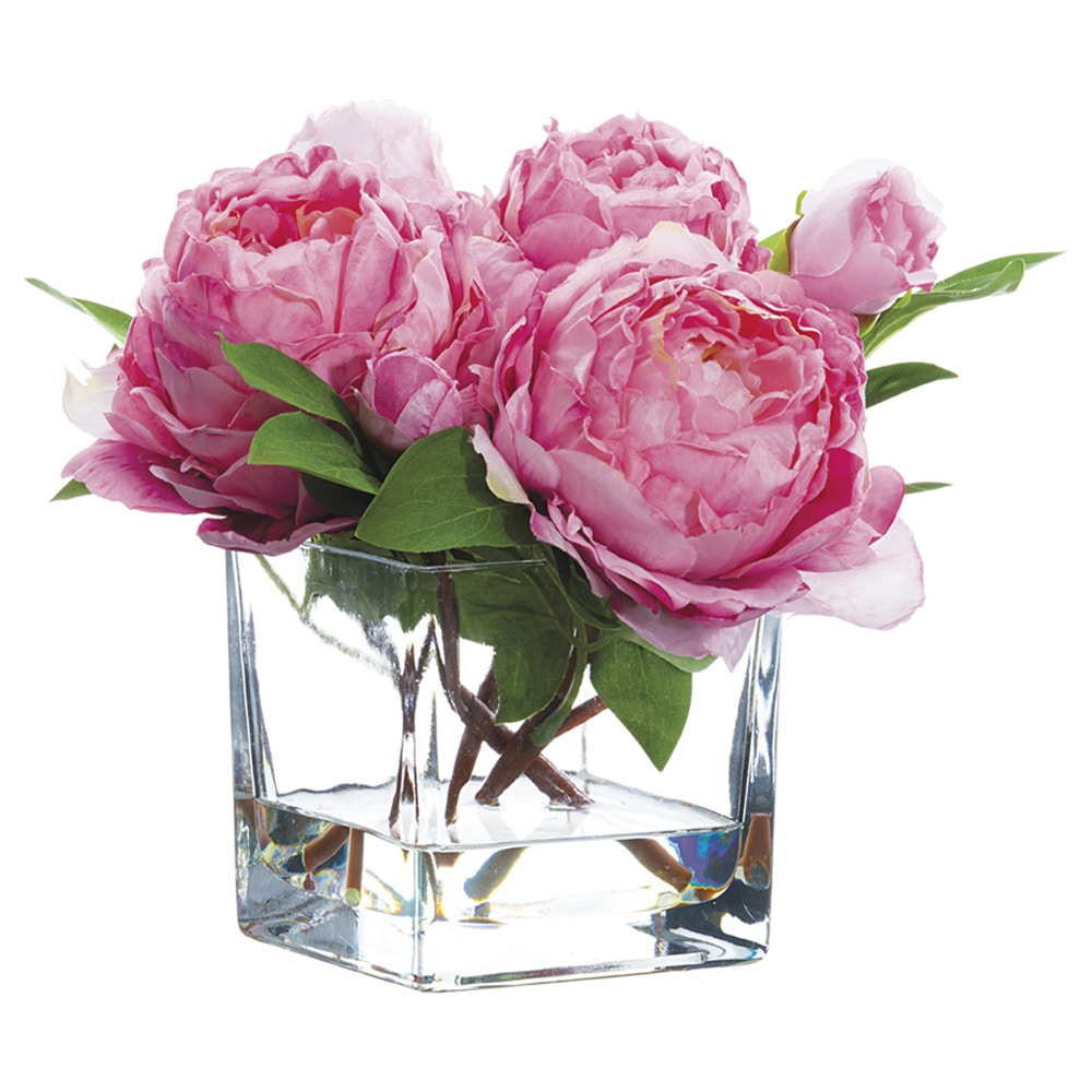  Peony In Glass Vase 