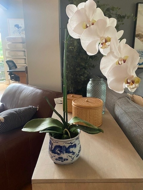  Phalaenopsis Orchid Plant in ceramic vase-White 