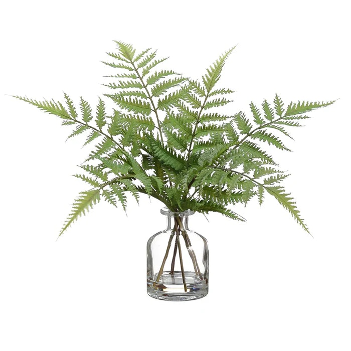  14 Forest Fern In Glass Vase?Green 