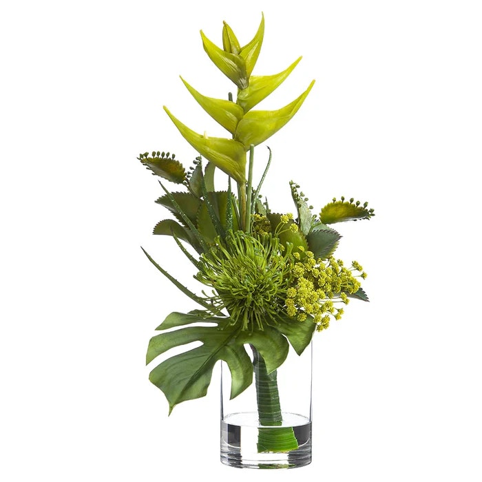  19 Heliconia Philo Protea 