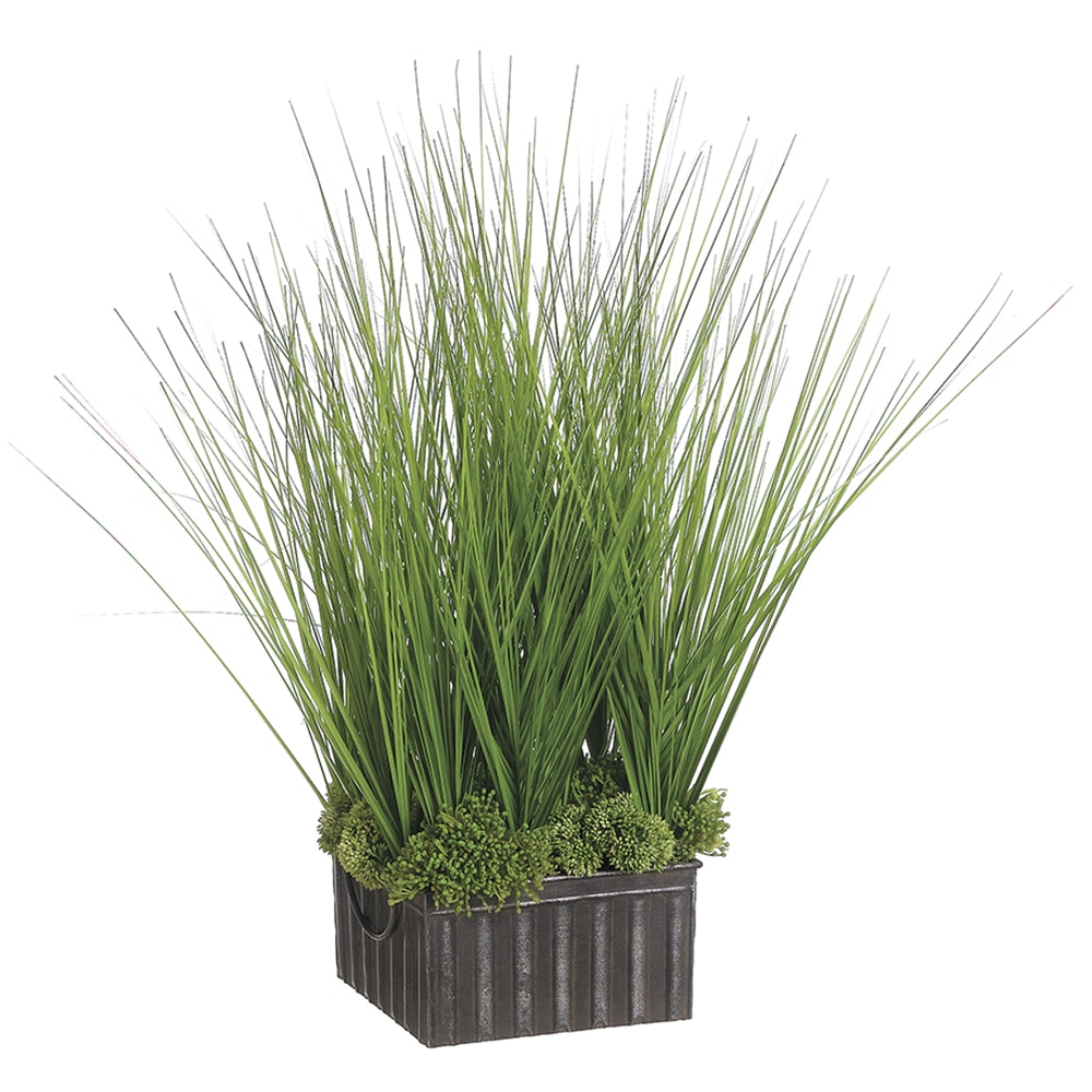  Sedum/Grass In Tin Container 