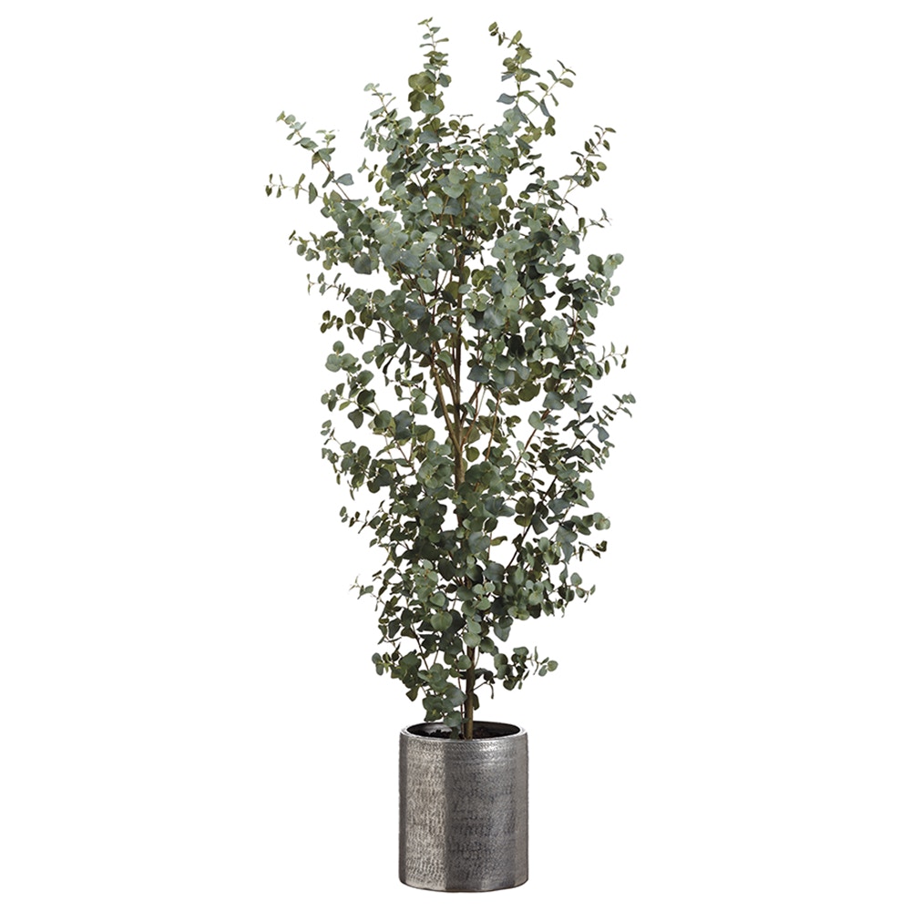 nxwt5005-gr.jpg?fit=fill&bg=