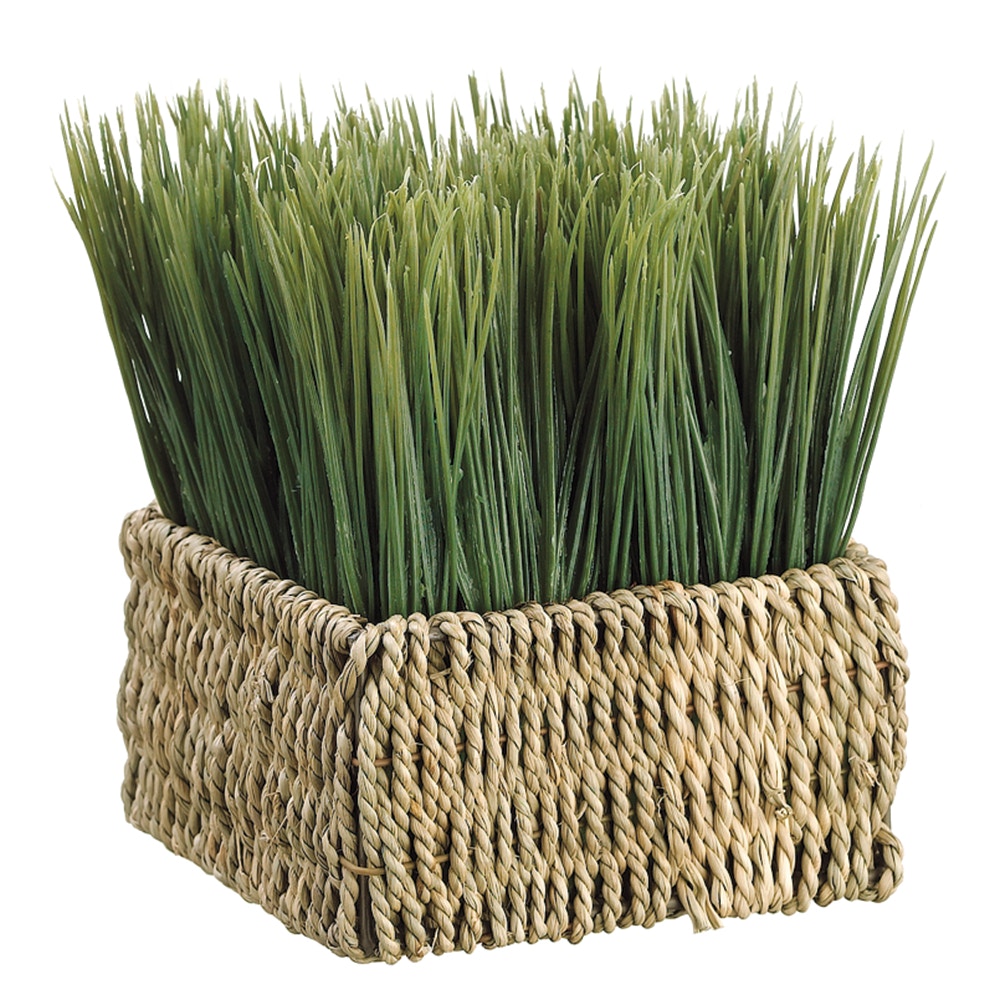  Grass In Basket 