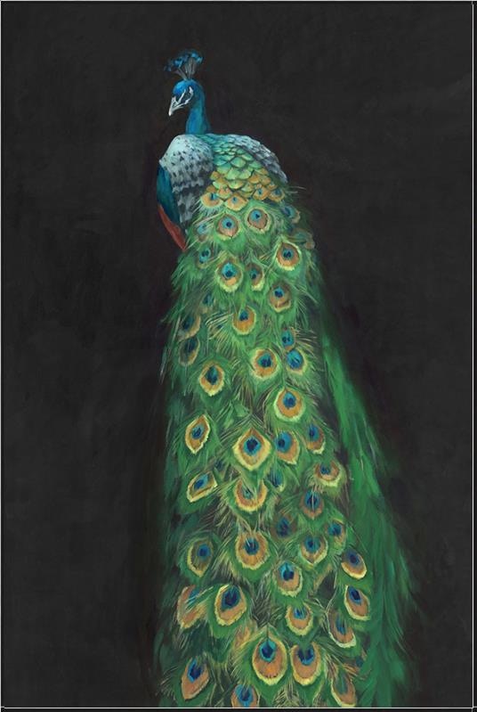 画材 Peacockesque Peacock (41x61)