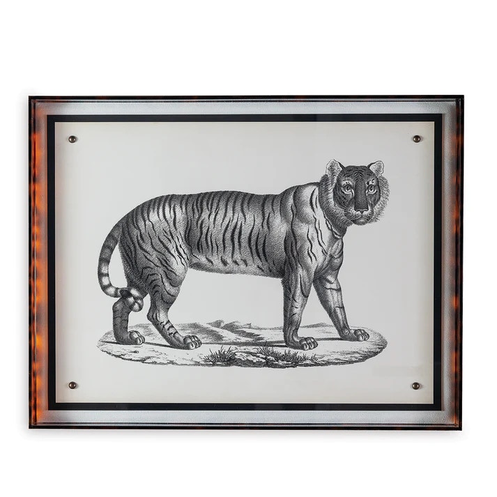  Tiger 