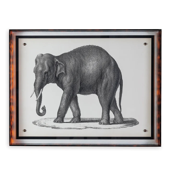  Elephant 
