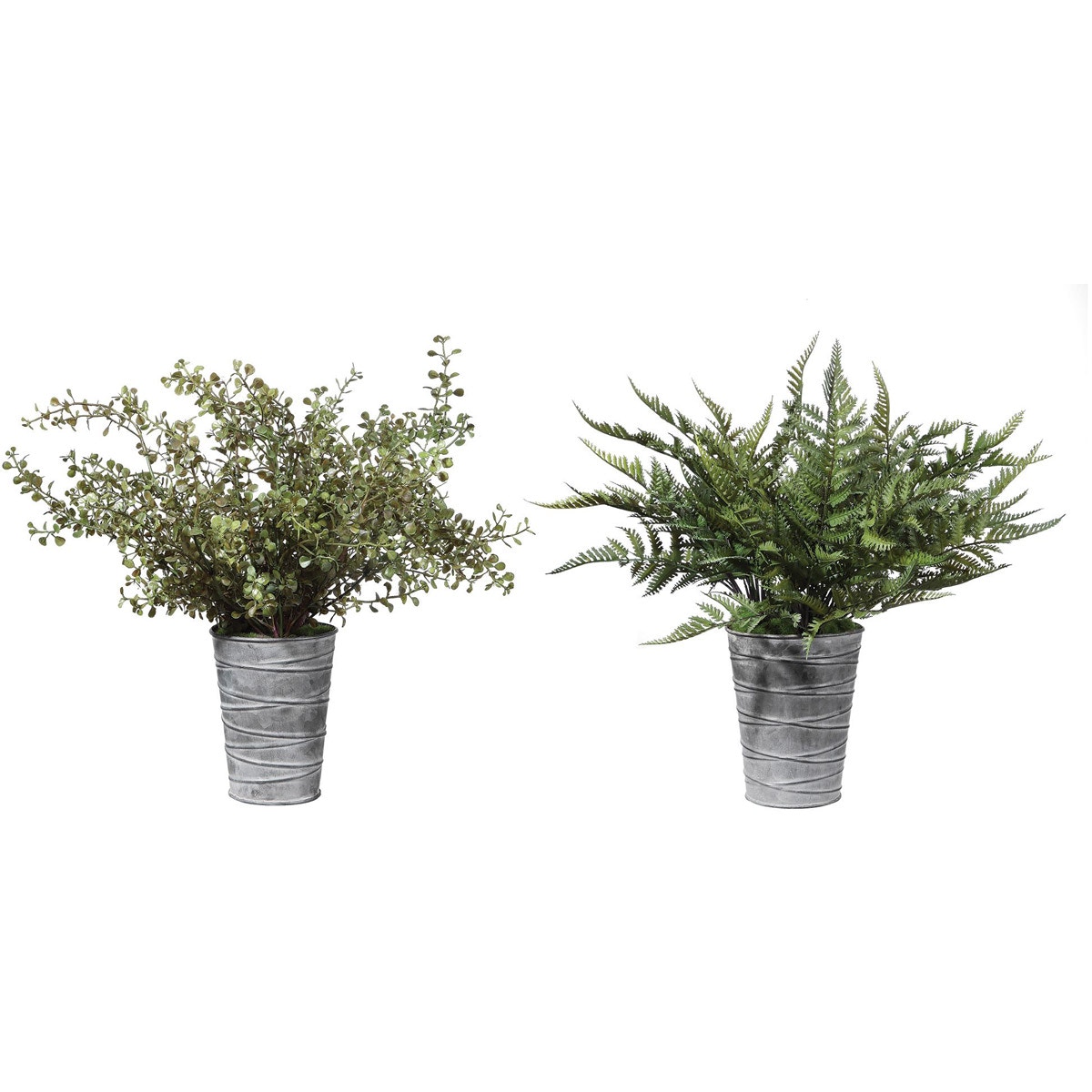  Set Of 2 Quimby Potted Ferns 