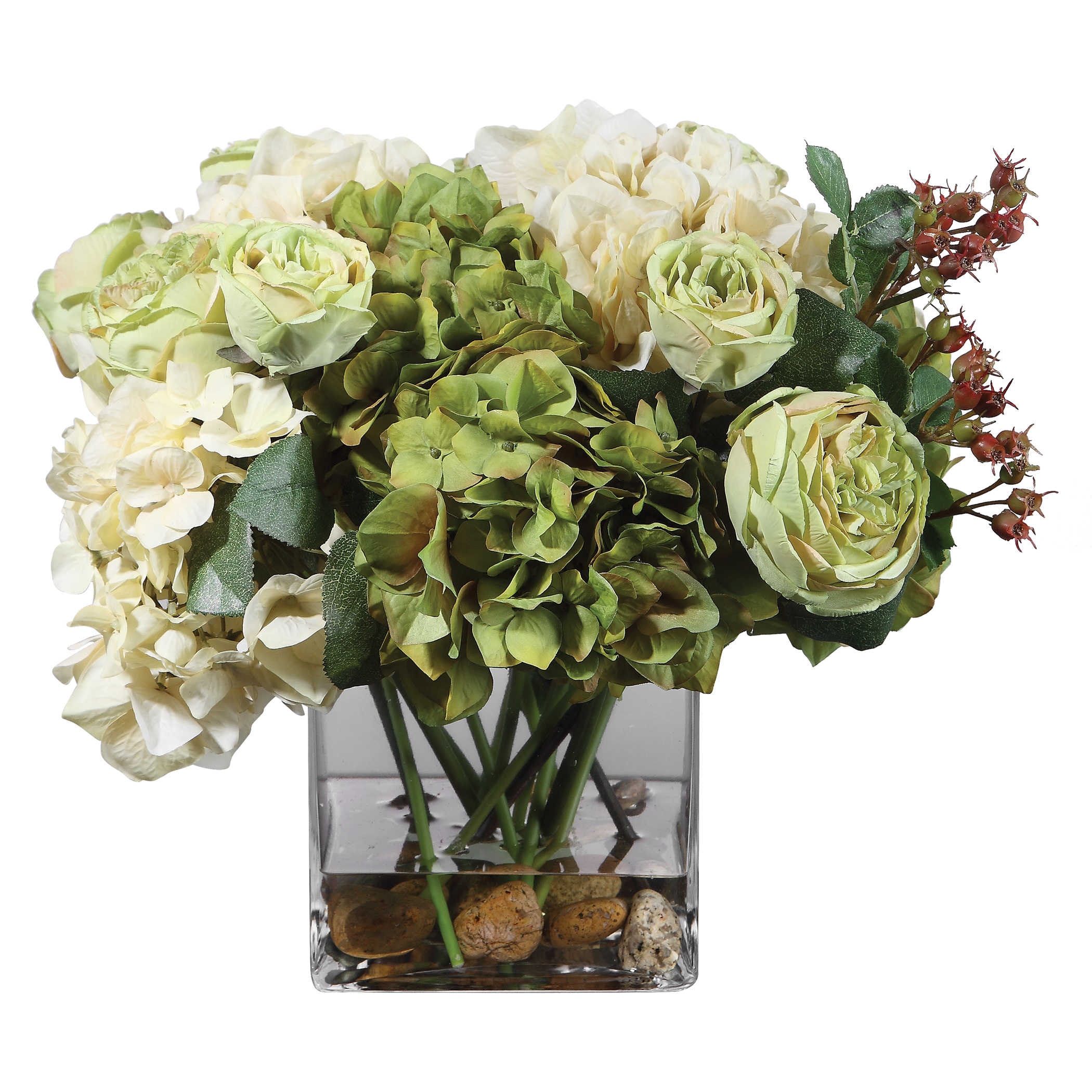  Cecily Hydrangea 