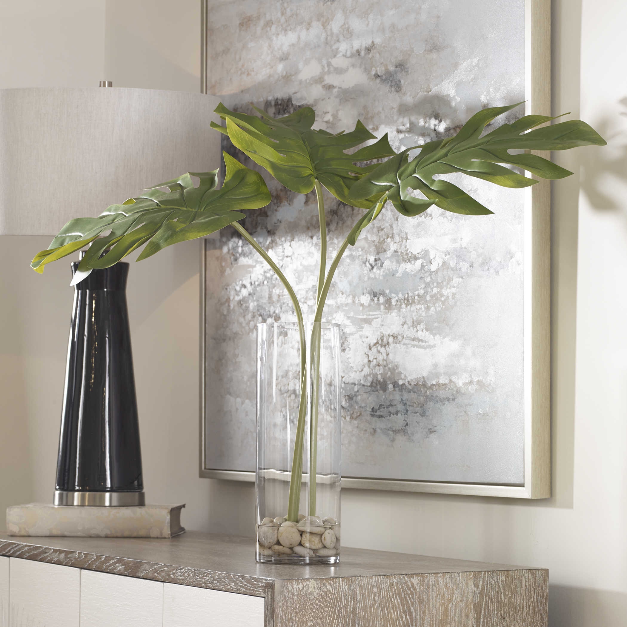  Ibero Split Leaf Palm 
