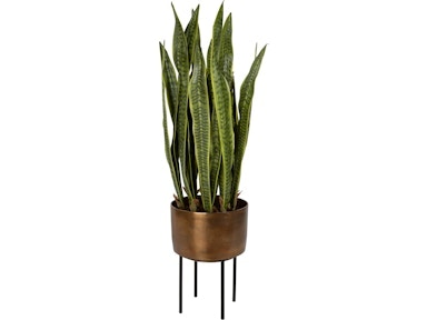  Fasita Planter 