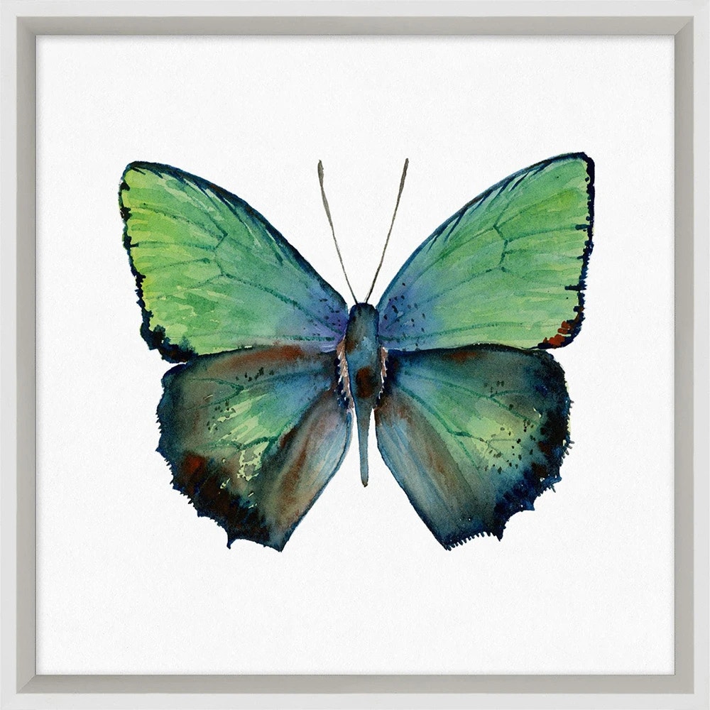  Butterfly Study 1 