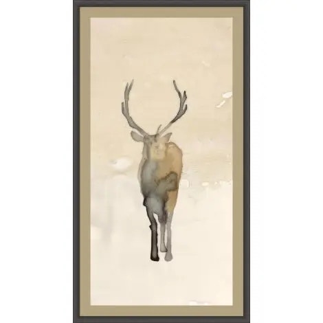  Deer Shadow 1 