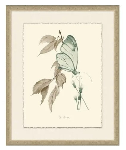  Nature Study 2 