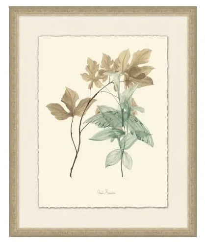  Nature Study 5 