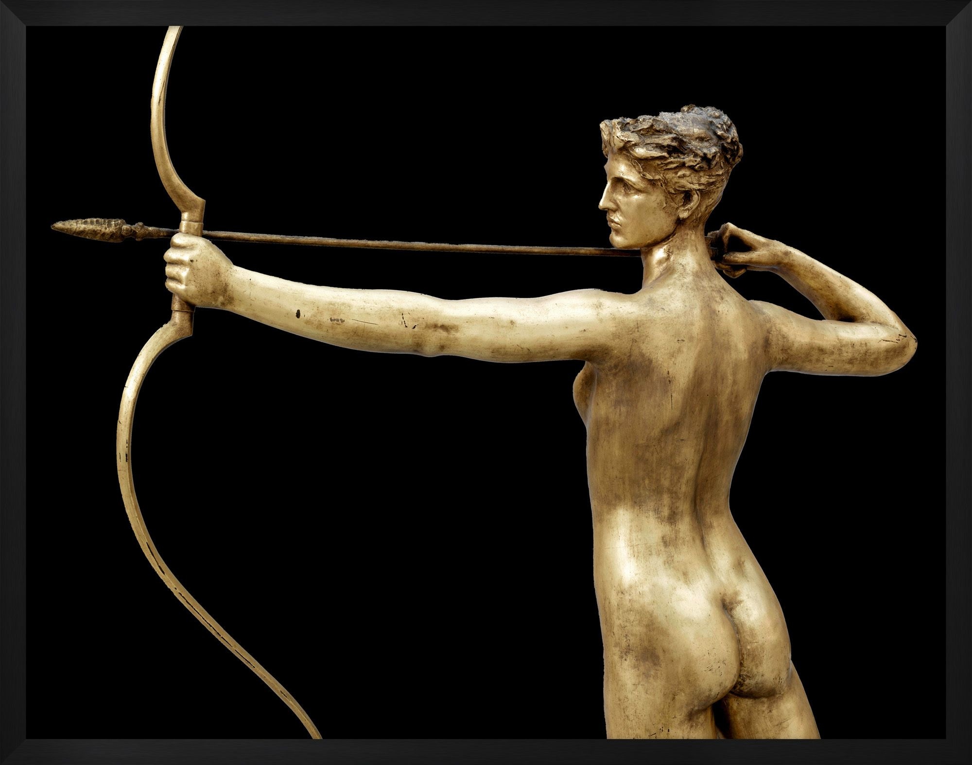  Diana 